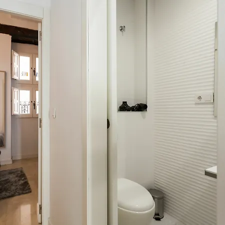 Apartment Maragata Plaza Reina *